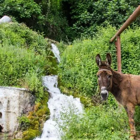 Casa vacanze Fani's House Kastanitsa