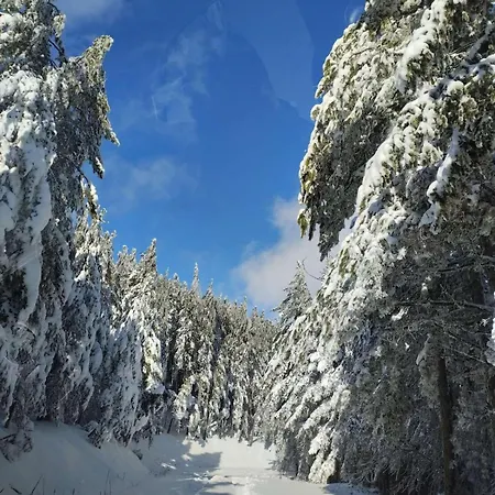 Casa vacanze Fani's House