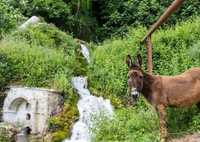 Casa de Férias Fani's House Kastanitsa