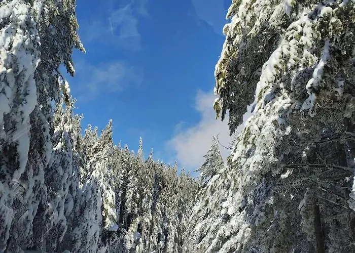 Feriehus Fani's House