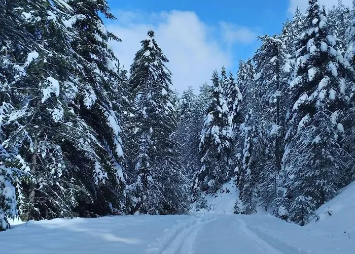 Fani's House Casa de Férias *